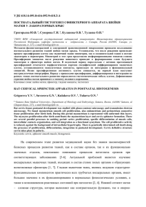 УДК 618.14-091.8:616-092.9:618.2/.4 ПОСТНАТАЛЬНЫЙ ГИСТОГЕНЕЗ СФИНКТЕРНОГО АППАРАТА ШЕЙКИ МАТКИ У ЛАБОРАТОРНЫХ КРЫС