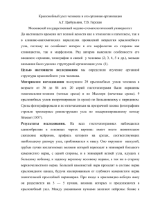 Крылонебный узел человека и его органная организация А.Г. Цыбулькин, Т.В. Горская