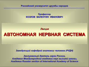 Автономная нервная система - Учебный портал Российского