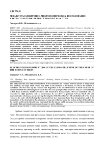 УДК 576.31 РЕЗУЛЬТАТЫ ЭЛЕКТРОННО-МИКРОСКОПИЧЕСКИХ  ИССЛЕДОВАНИЙ УЛЬТРАСТРУКТУРЫ ГРЕБНЯ СЕТЧАТКИ ГЛАЗА ПТИЦ