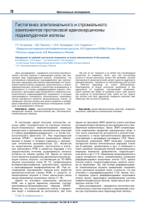 Гистогенез эпителиального и стромального компонентов