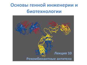 Рекомбинантные антитела (pdf, 3010КБ)