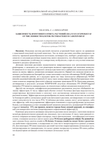 PDF - 0,36 Мб. - Белорусский государственный университет