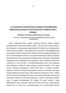 HLA–АНТИГЕННАЯ ХАРАКТЕРИСТИКА НАТИВНЫХ И КУЛЬТИВИРУЕМЫХ НЕЙРОКЛЕТОК ФЕТАЛЬНОГО И ПОСТНАТАЛЬНОГО ГОЛОВНОГО МОЗГА