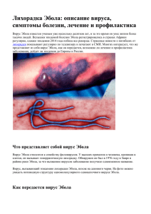 Лихорадка Эбола: описание вируса, симптомы болезни, лечение