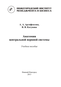 Анатомия центральной нервной системы А. А. Артифексова,