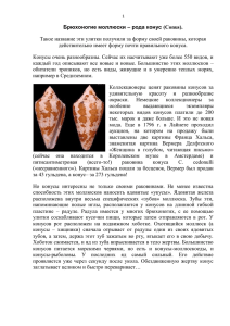 Брюхоногие моллюски – рода конус (Conus). Такое название эти