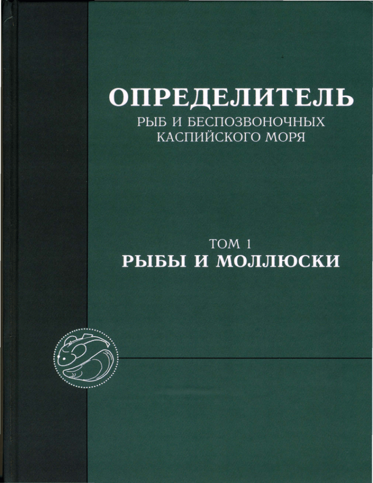 Доклад: Особенности природы Каспийского моря