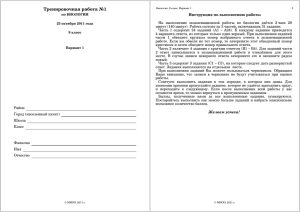 Тренировочная работа №1