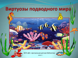 Сокровища подводного мира