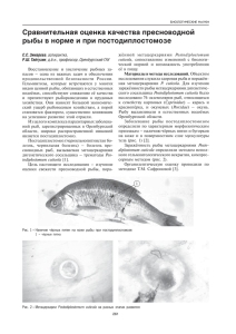 Сравнительная оценка качества пресноводной рыбы в норме и