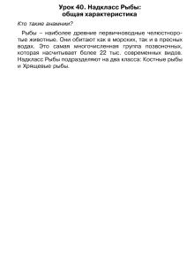 Урок 40. Надкласс Рыбы: общая характеристика