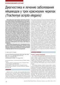 (Trachemys scripta elegans) Диагностика и лечение заболевания яйцеводов у трех красноухих черепах