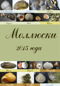 Рейтинг моллюсков 2015 года