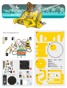 Kit PrintBot BEETLE (RU)