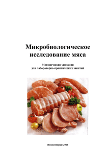 микробиологическое исследование мяса
