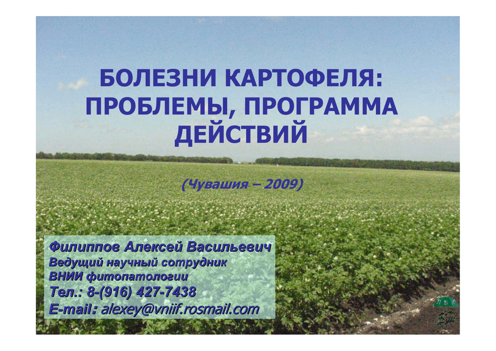 Проблемы картофелеводства. Книга защита овощных культур. Методика учета болезней картофеля шкалы и формулы.