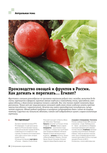 Производство овощей и фруктов в России. Как догнать и