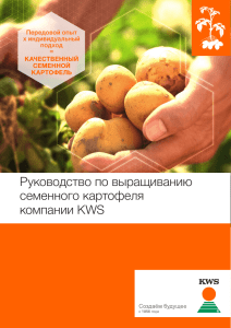 Руководство по выращиванию семенного картофеля