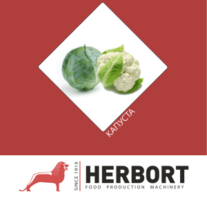 капуста - Herbort