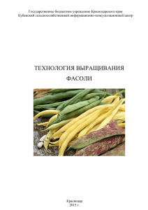 технология выращивания фасоли