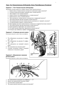 Тема: Тип Членистоногие (Arthropoda). Класс Ракообразные (Crustacea)
