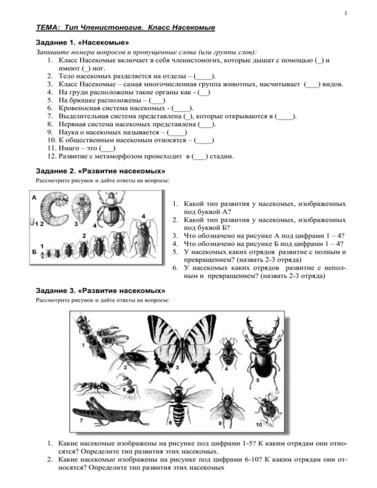 Биология тест класс насекомые. Задания по теме насекомые биология 7 класс. Тема Тип Членистоногие класс насекомые 7 класс. Таблица по биологии 7 класс на тему типы развития насекомых. Класс насекомые задания.
