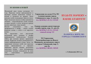Полный текст - Администрация города Губкинского