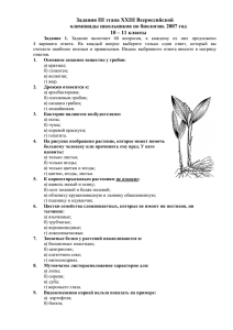 2007 год 10 - 11 класс документ MS Word