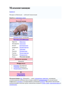 Млекопитающие