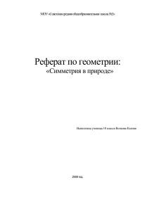 Реферат по теме: "Симметрия в природе"