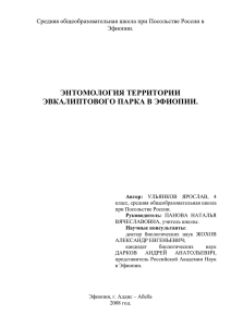 Энтомология территории эвкалиптового парка в Эфиопии