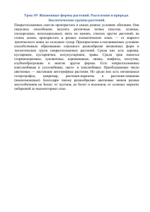 Урок 49 Жизненные формы растений. Расселение в природе