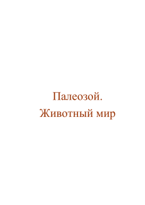 Докдад "Эра палеозоя" выполнен группой палеонтологов