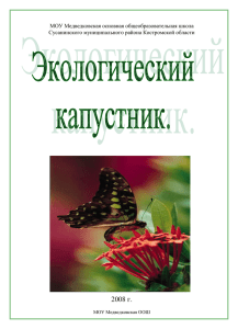 Экологический капустник - Образование Костромской области