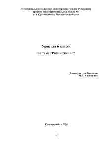 Муниципальное бюджетное общеобразовательное учреждение средняя общеобразовательная школа №4