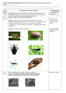 Тема: Отряды насекомых (Бабочки, Равнокрылые, Двукрылые