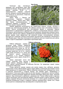 Растения-кандидаты на роль - Правительство Тюменской области