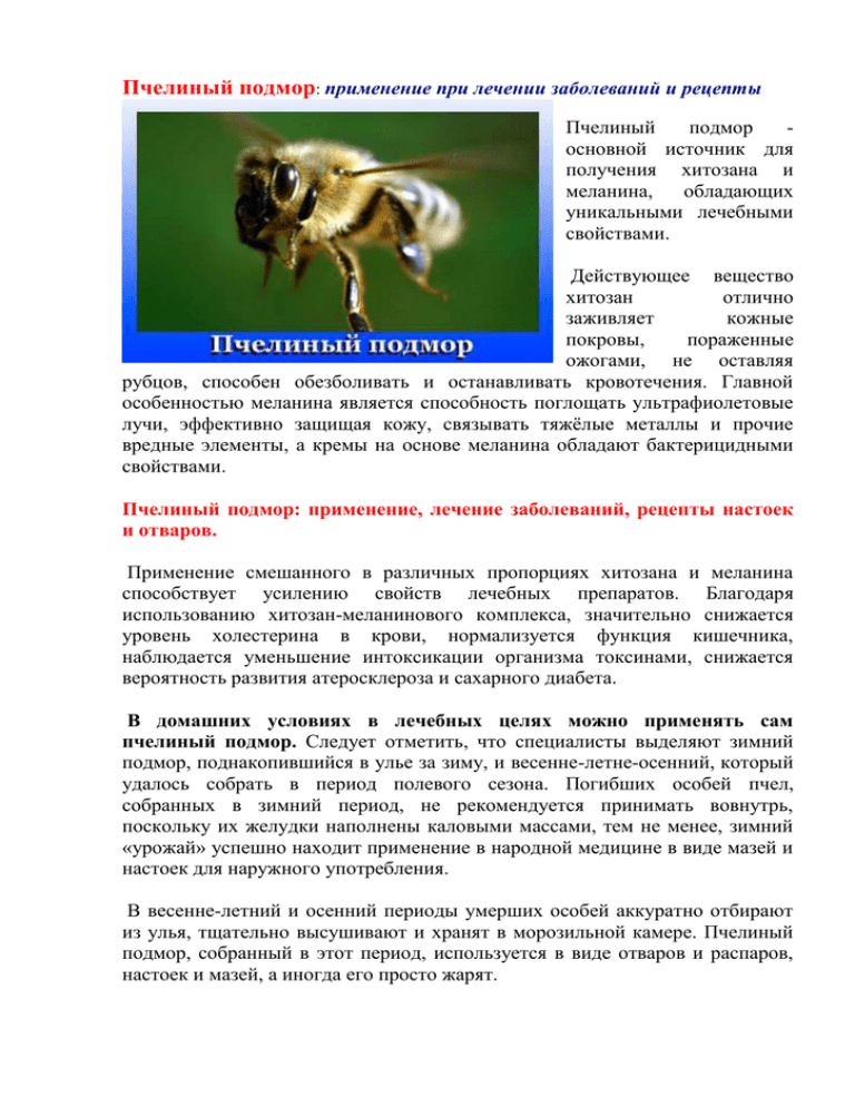 Пчелиный подмор: применение при лечении заболеваний и