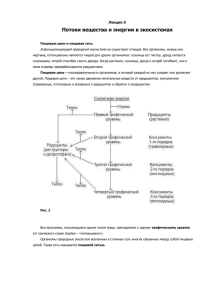 Лекция 5 по Экологии