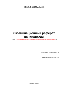 Строение пищеварительной системы