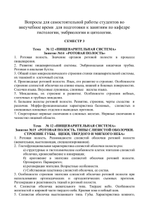 Вопросы для самостоятельной работы студентов во внеучебное