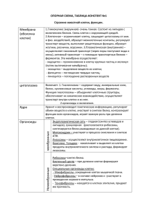 ОПОРНАЯ СХЕМА