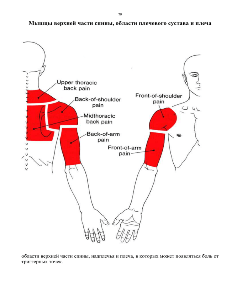 Боль под левую лопатку спины причины лечение. Боль в верхней части спины. Болит спина вверху. Болит верхняя часть спины. Боль в правой верхней части спины.