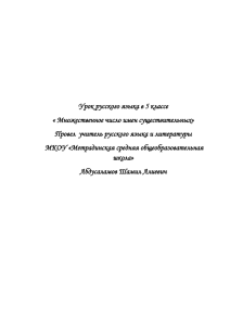 Урок русского языка в 5 классе « Множественное число имен существительных»