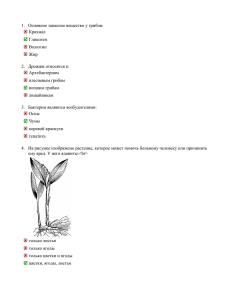 2007_Bio_3_tur_10