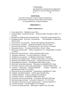 УТВЕРЖДЕН  распоряжением министерства природных ресурсов и экологии Иркутской области