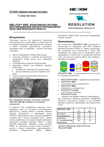 Technical brochureWellfix rus Hexion