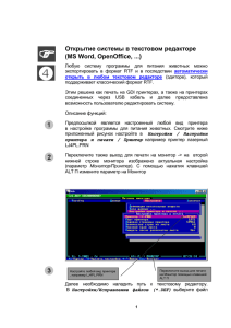 Открытие системы в текстовом редакторе (MS Word, OpenOffice