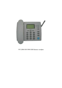 WT-2006 850/1900 GSM Бизнес телефон Введение Мы